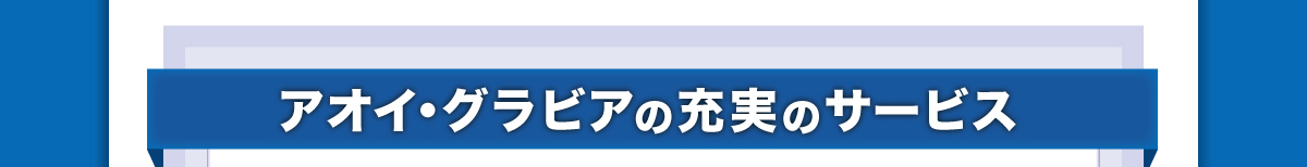 �A�I�C�O���r�A�̏[���̈���T�[�r�X